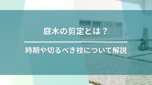 時期や切るべき枝について解説